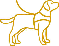 Dogwalking Bratscherlzeit