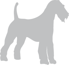Hundepension Bratscherlzeit Preis groß